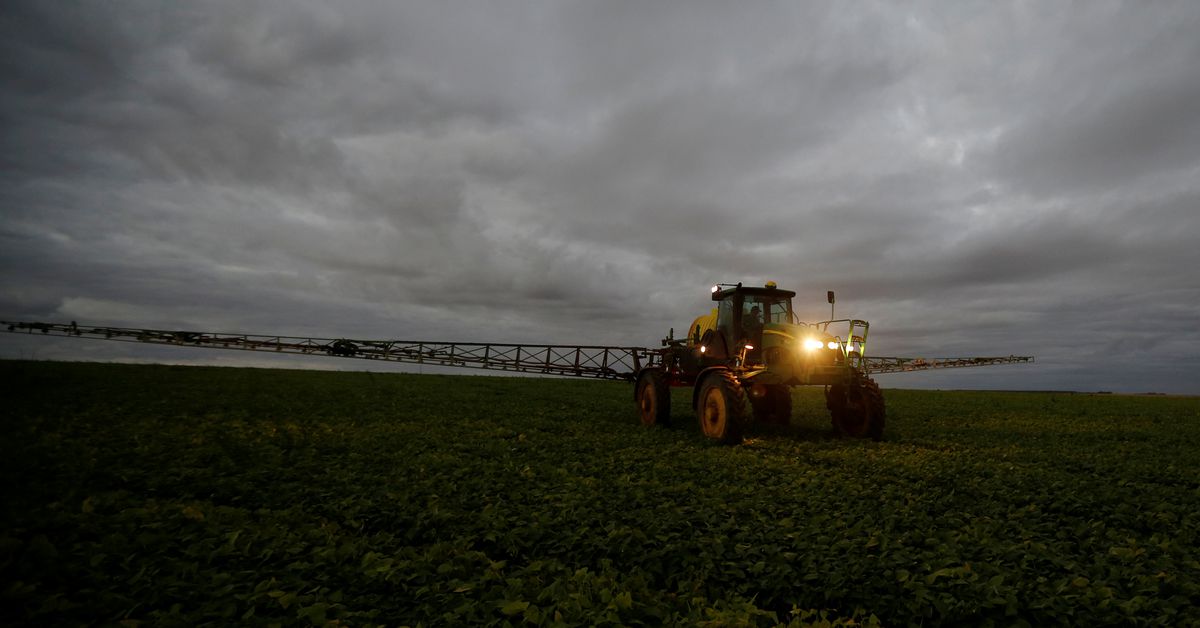 Brazil commodities sales to Arab nations soar as importers stock up on food