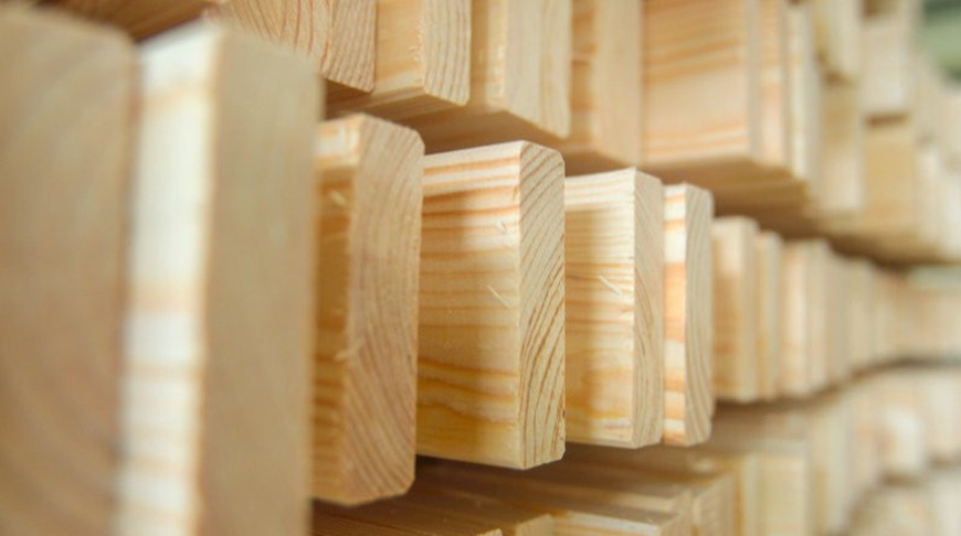 Belarus&rsquo; export of timber, woodworking, paper products to Uzbekistan nearly doubles